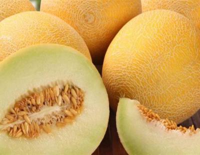 البطيخ الاصفر ( الشمام) والفوائد الصحية 