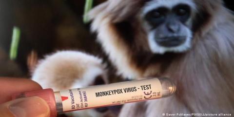 الصحة العالمية تطالب بتوزيع عادل للقاح جدري القردة بدون قدرته توفير الحماية الفورية 