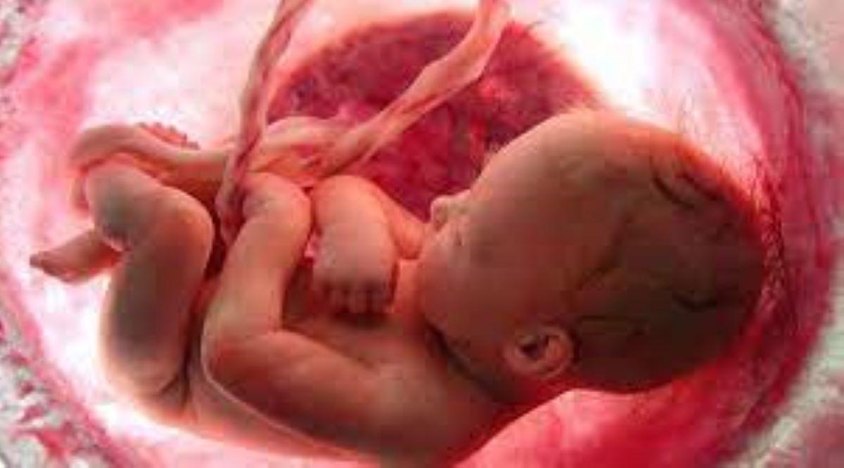 دراسة:الإجهاد أثناء الحمل يمكن أن يؤثر على تسارع شيخوخة خلايا الأطفال.